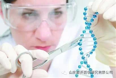 群英:基因組編輯利器-TALEN與CRISPR技術(shù)介紹