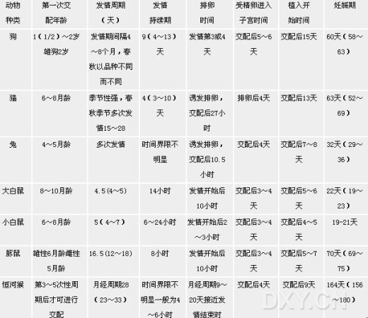 山東群英醫(yī)學(xué)研究動(dòng)物實(shí)驗(yàn)知識(shí):實(shí)驗(yàn)動(dòng)物繁殖周期