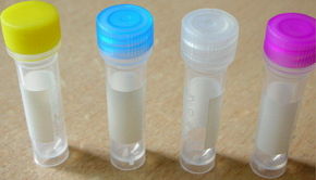 山東細胞實驗:細胞的凍存和復蘇(以293細胞為例)