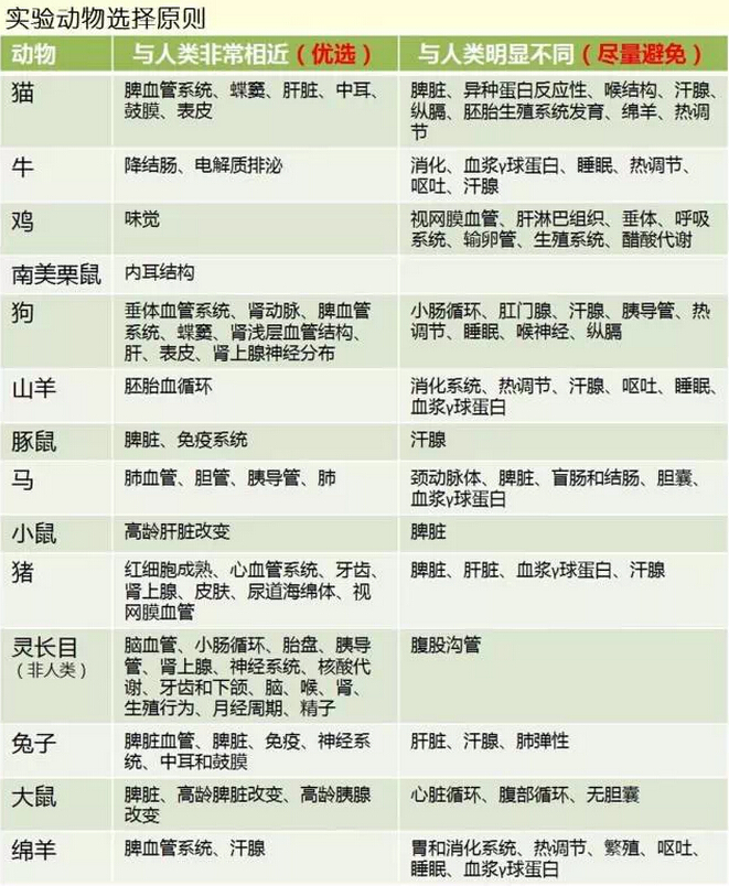醫(yī)學(xué)基礎(chǔ)|實(shí)驗(yàn)動物選擇原則