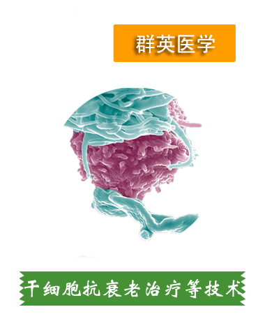 干細(xì)胞抗衰老、肝細(xì)胞治療等技術(shù)