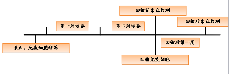 免疫細(xì)胞治療方案