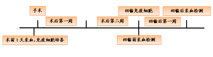 免疫細(xì)胞與手術(shù)聯(lián)合治療方案