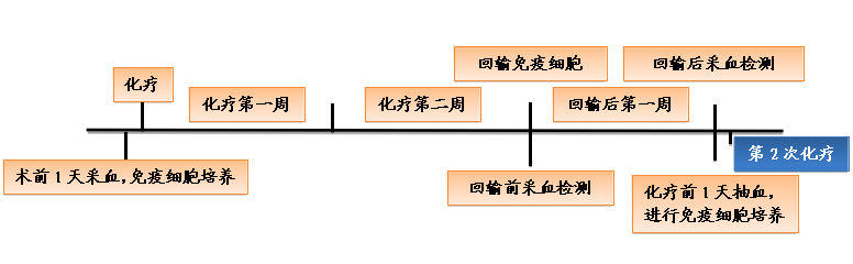 免疫細(xì)胞與化療聯(lián)合治療方案