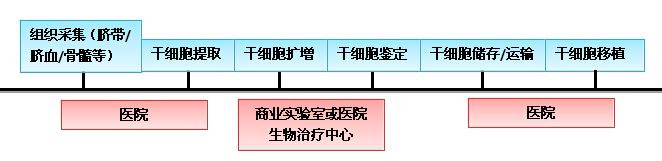 間充質(zhì)干細(xì)胞治療模式