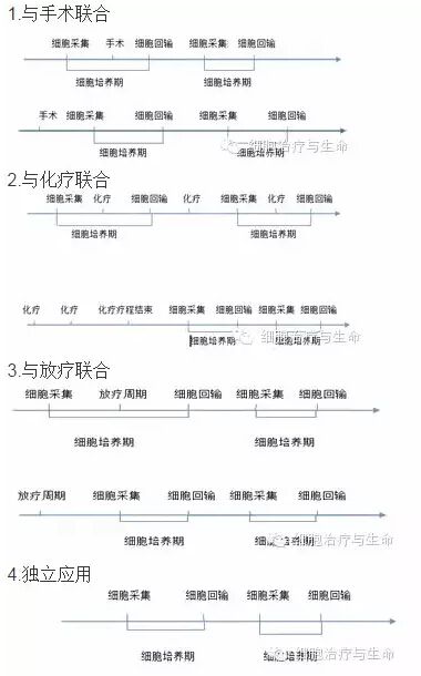 自體免疫細(xì)胞治療的方案