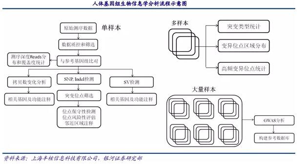 基因測序發(fā)展新態(tài)勢：在上游發(fā)展三四代技術(shù)，在下游完成樣本積累