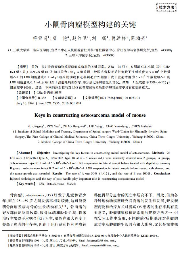 小鼠骨肉瘤模型構(gòu)建的關(guān)鍵