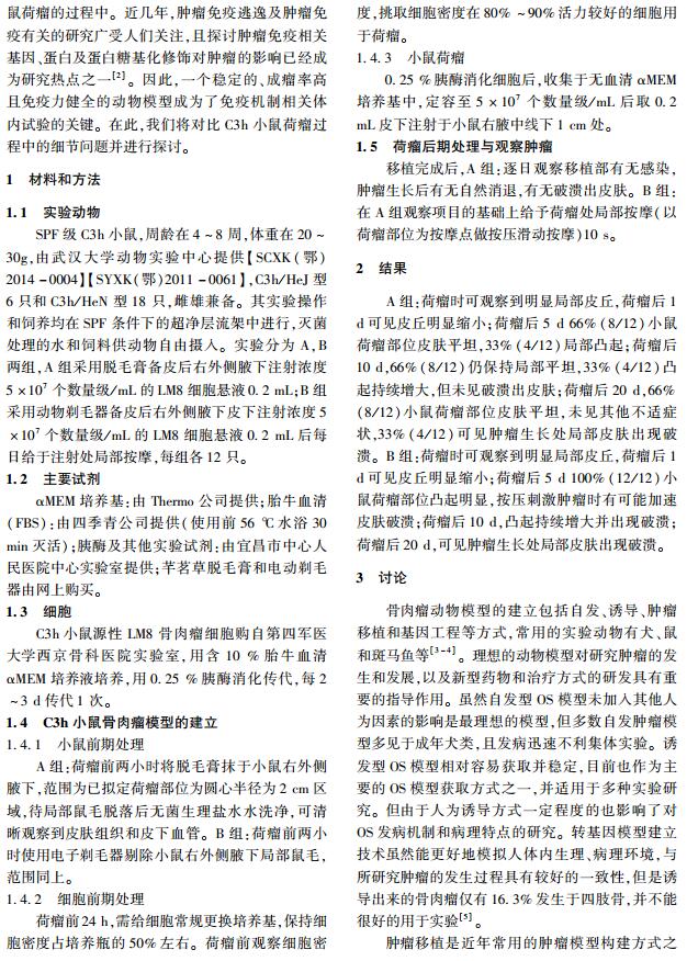 小鼠骨肉瘤模型構(gòu)建的關(guān)鍵
