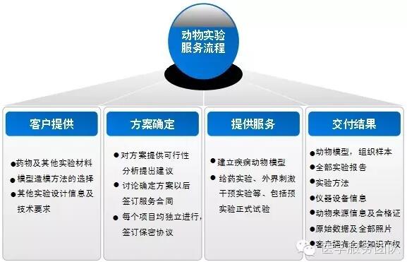 群英醫(yī)學動物模型構(gòu)建服務(wù)