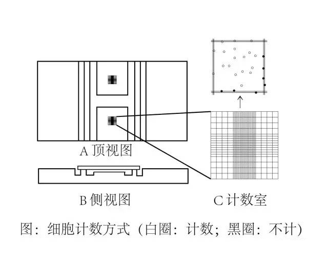 細胞培養(yǎng)方法之細胞計數