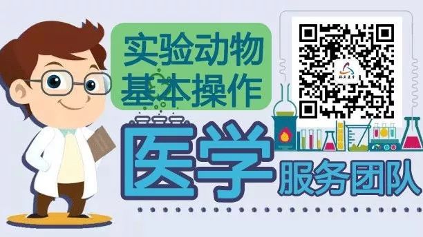 實(shí)驗動物視頻教程系列：大鼠抓取技巧